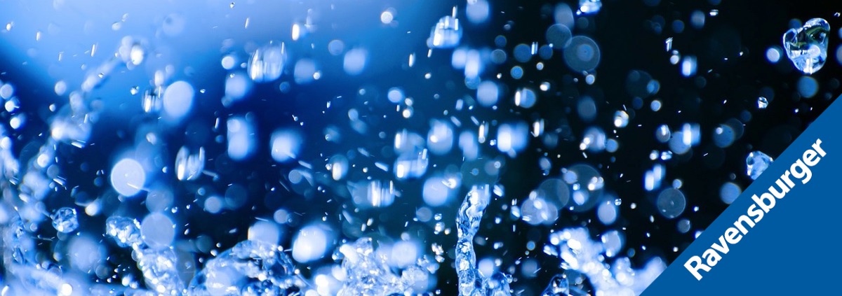 RSV-Blogbild-mit-Logo